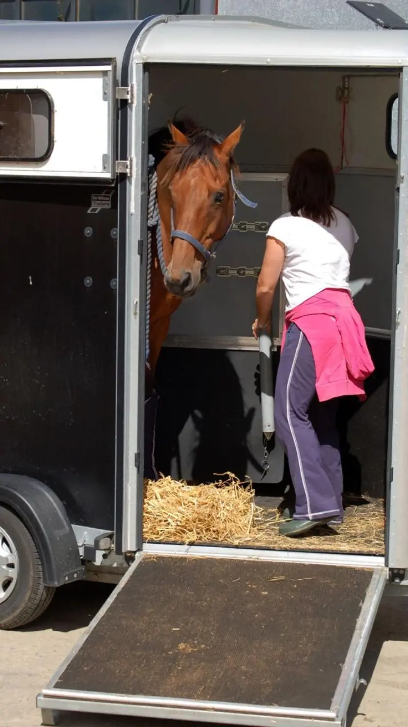 Transportista certificado revisando equipamiento antes del viaje